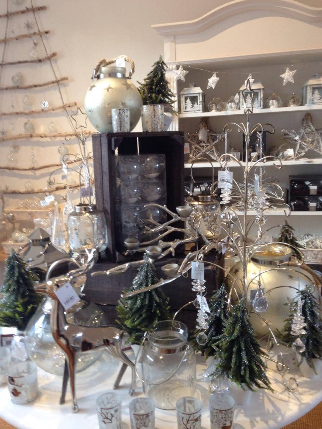 Dog-Friendly Welcome