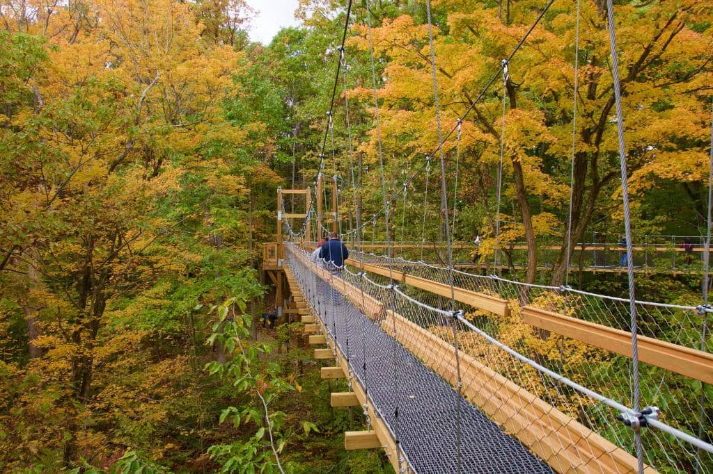 Buckeye Bud's Adventure Woods
