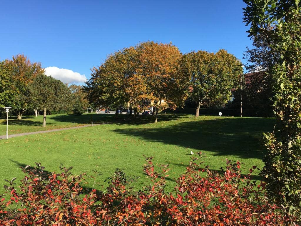 Vibrant Glass Mosaics