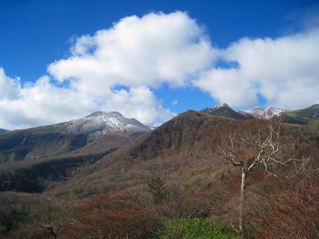 Autumn Foliage Spectacle