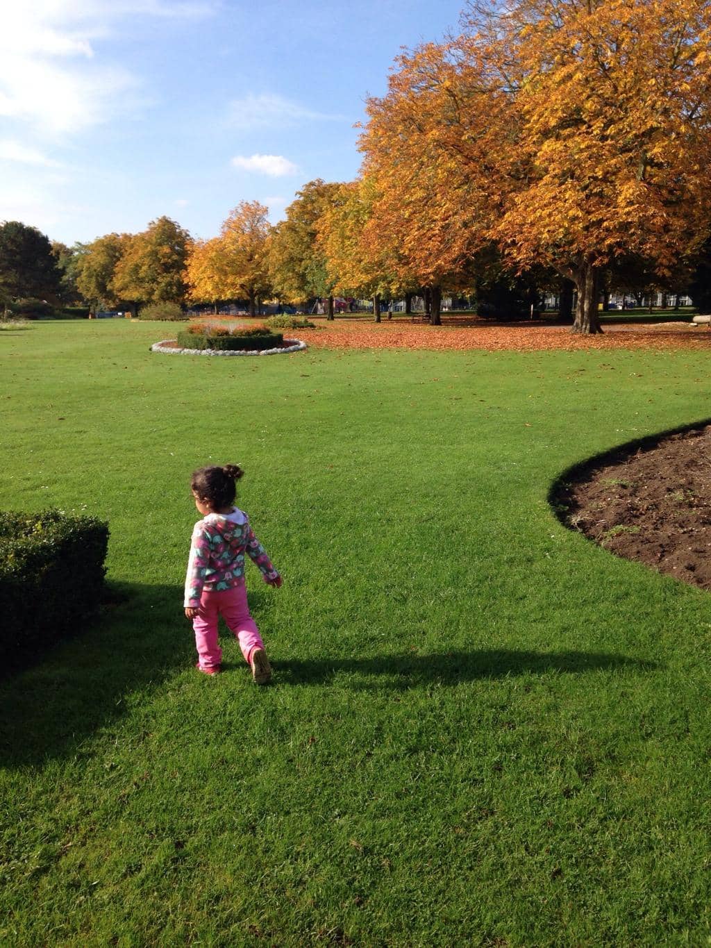 Miniature Train Ride