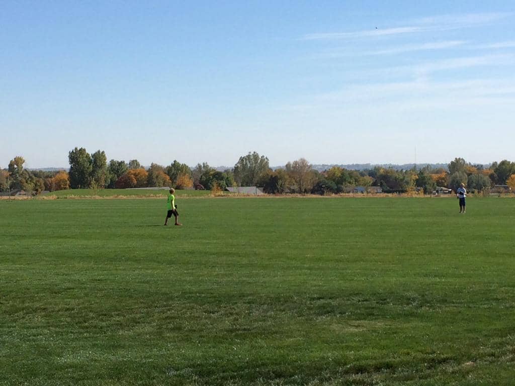 Dog Parks