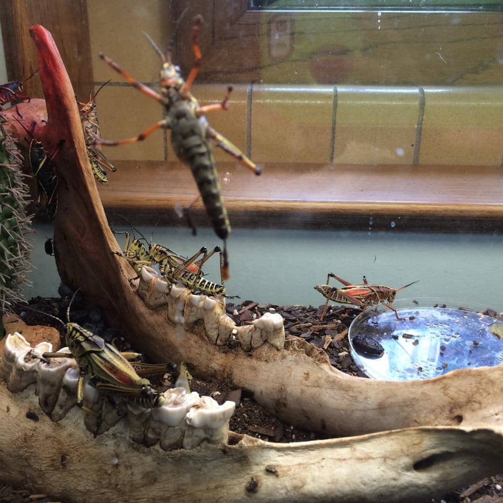 Water Exhibit