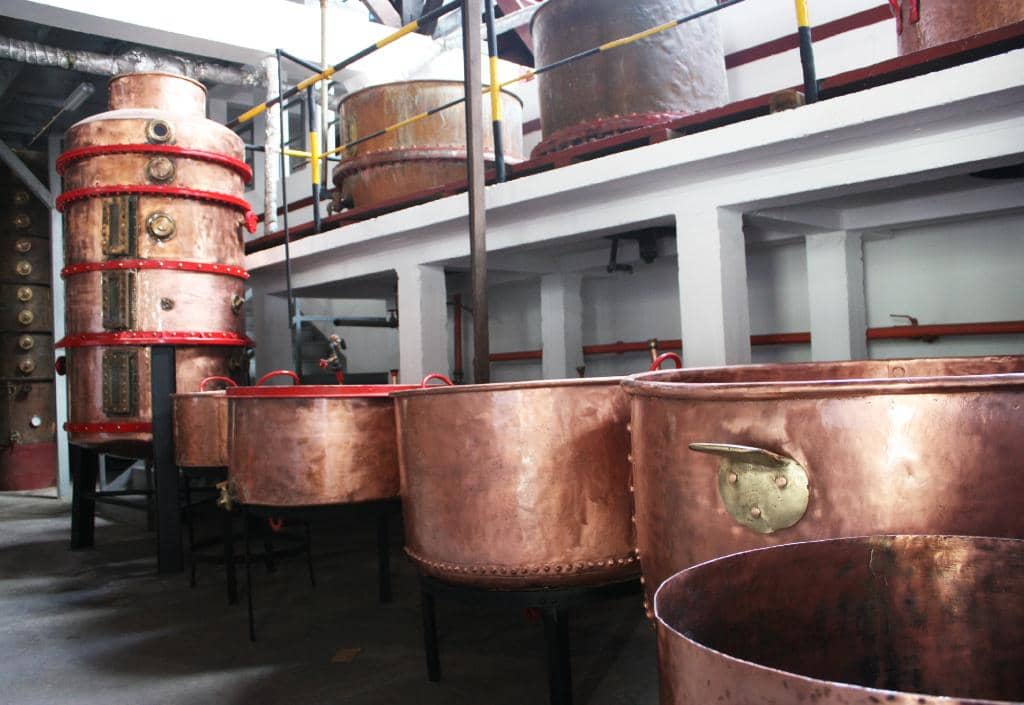 Sugarcane Processing