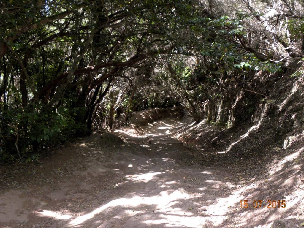 Sensory Experience Platforms