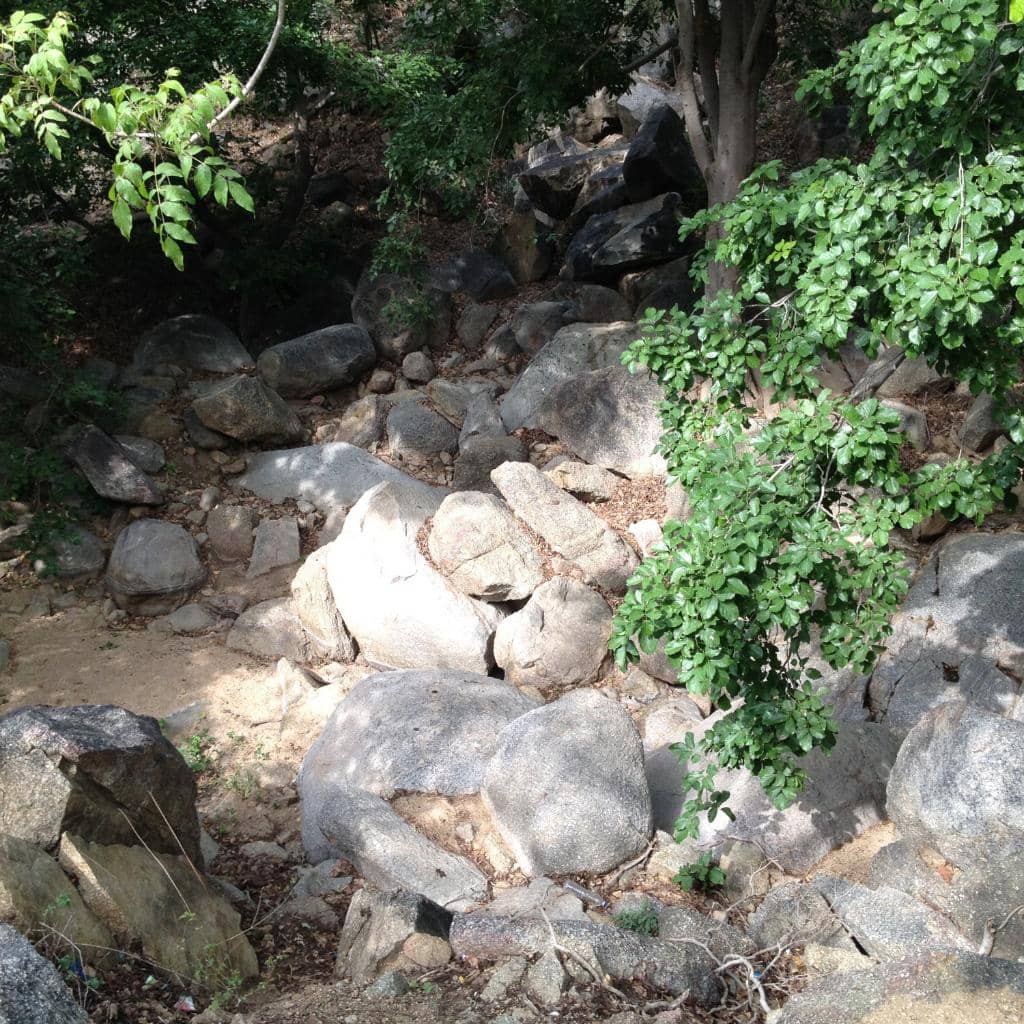 Aravalli Hills Trekking