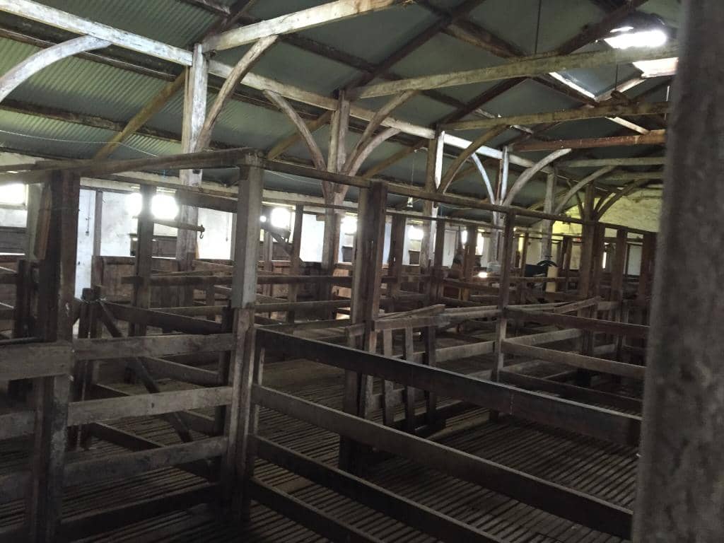 Educational Experience