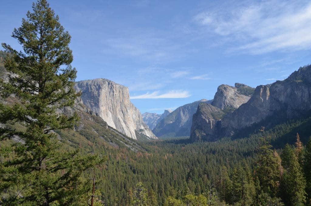 Merced River Reflections