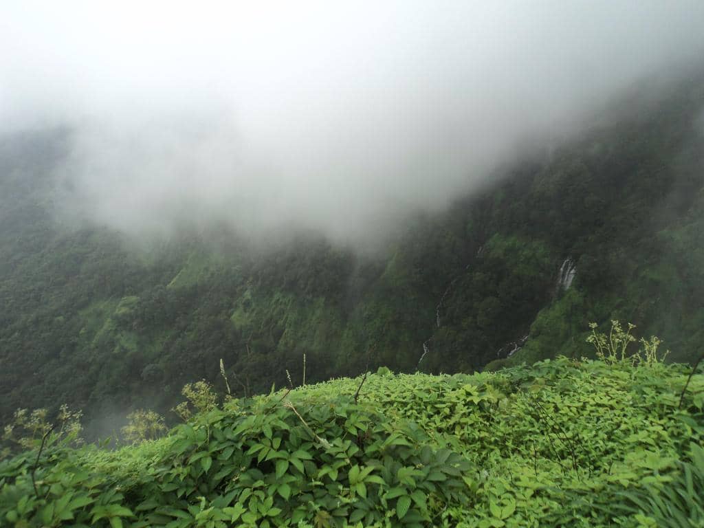 Vertical photo