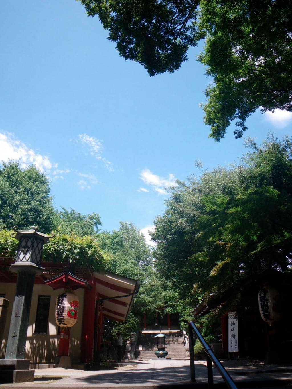 Daikon Motif