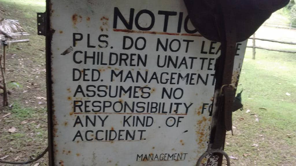 Refreshing Swimming Pool