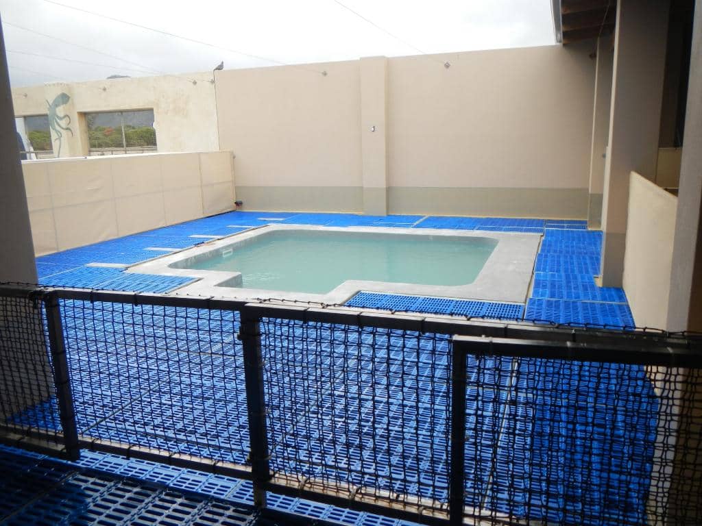 Meet the Rescued Residents