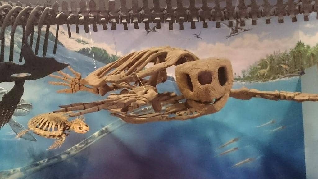 Interactive Science Exhibits