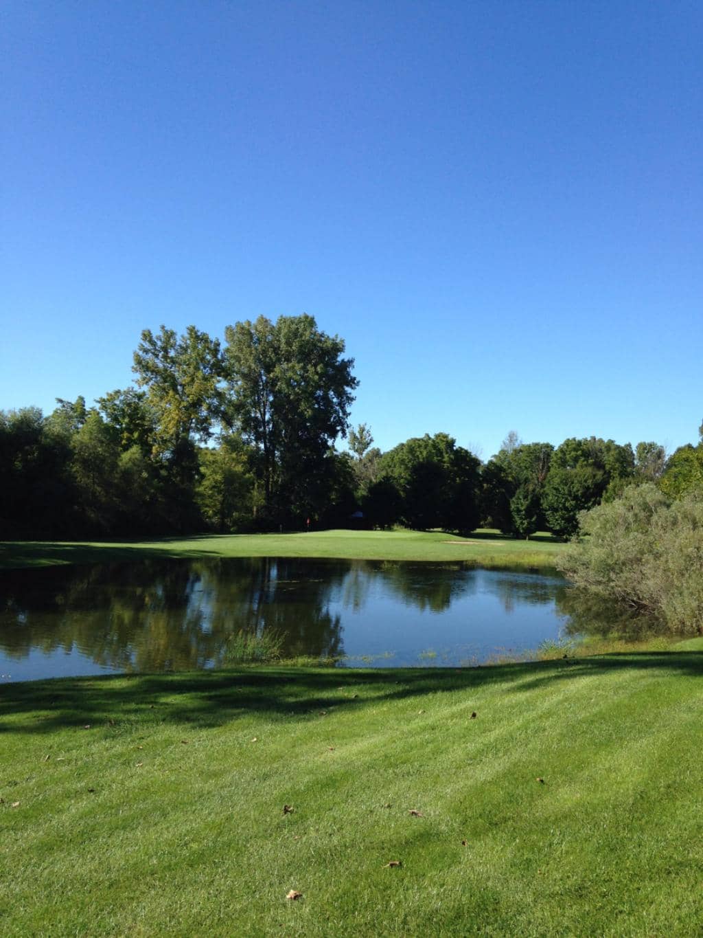 The 19th Hole