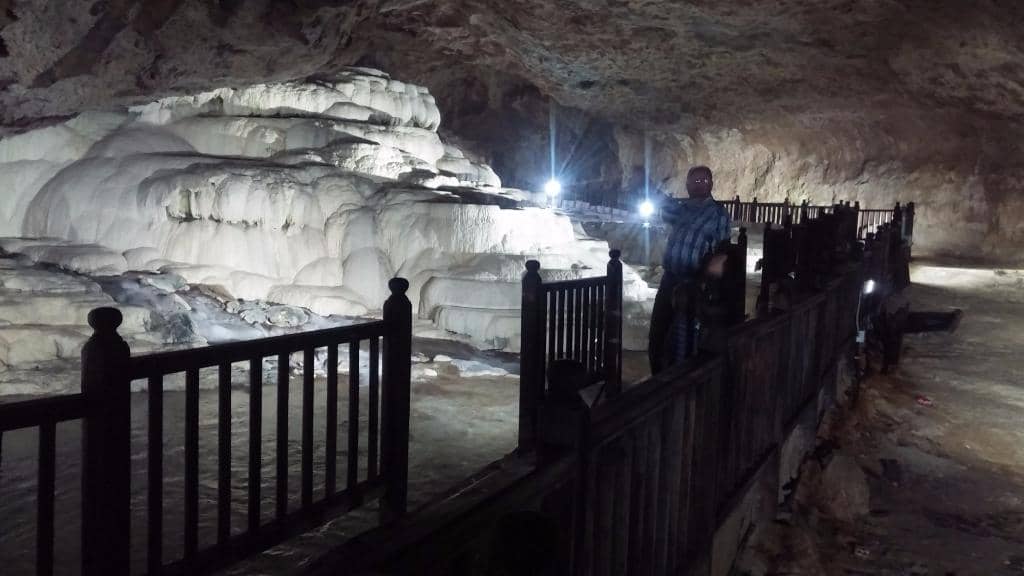 Underground Bat Colony