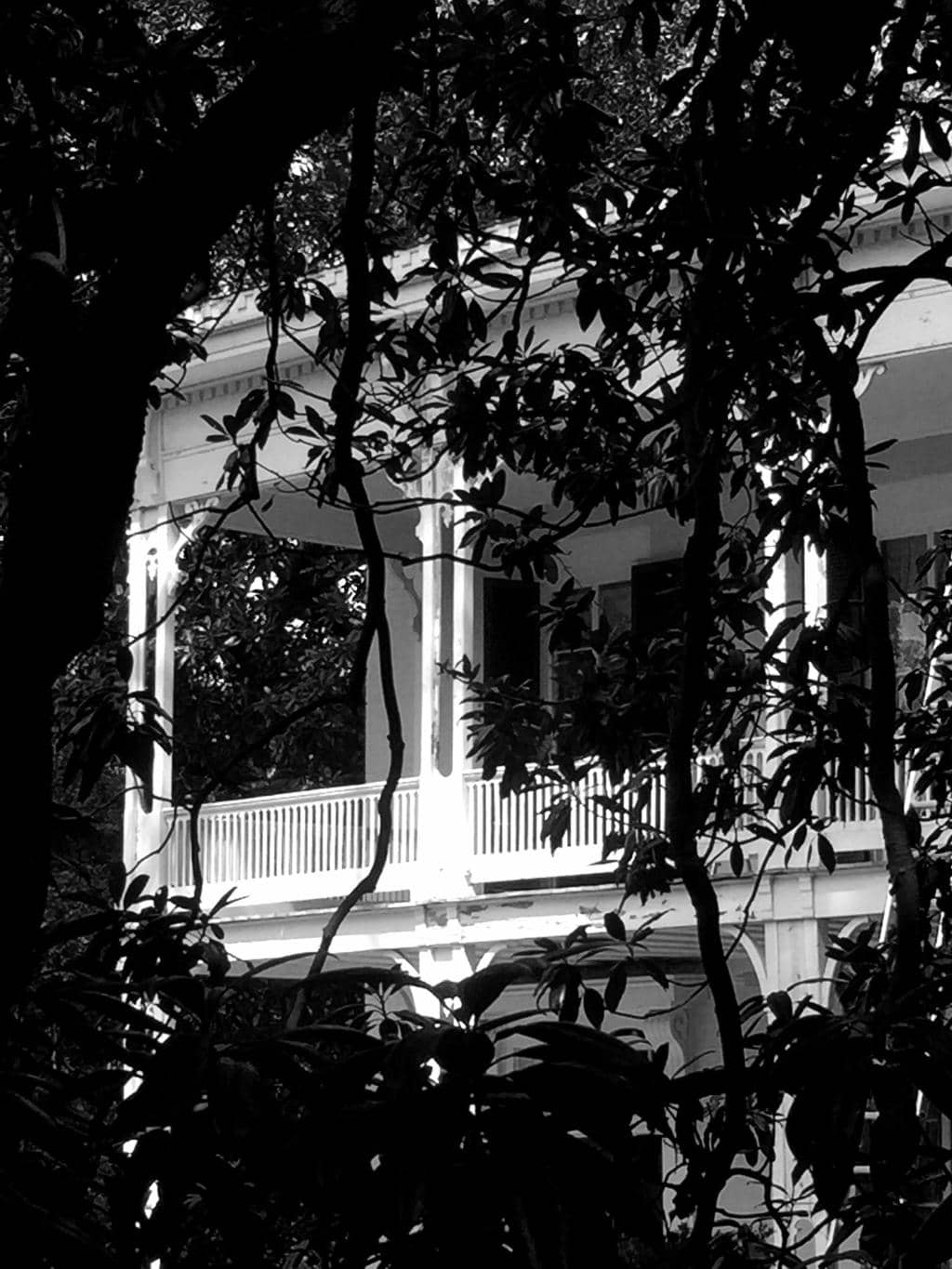 Vertical photo