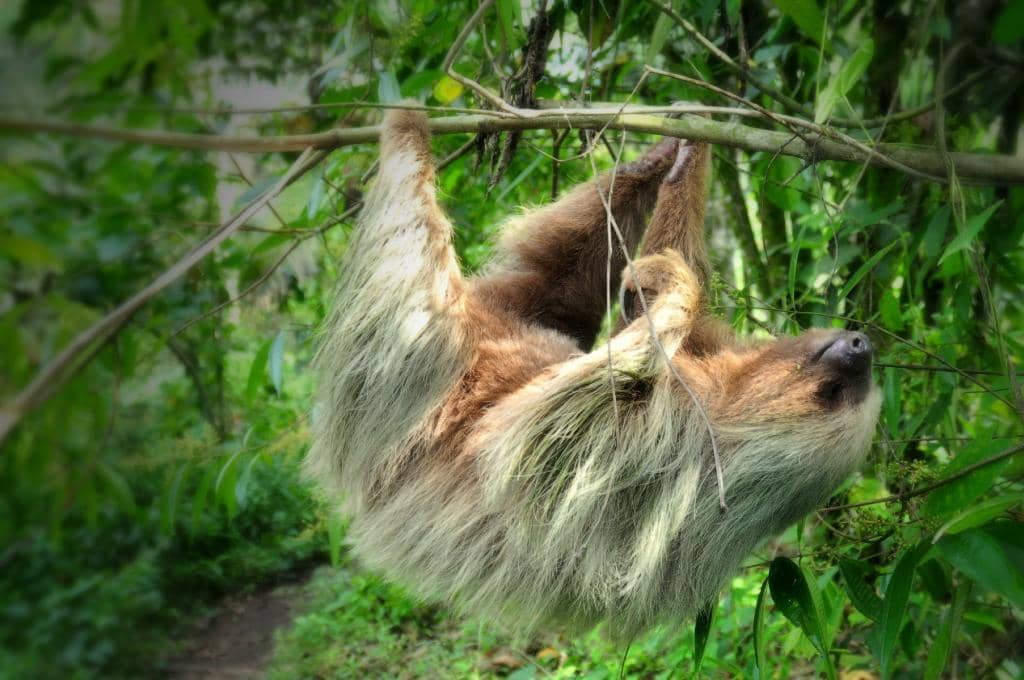 Biodiversity Immersion