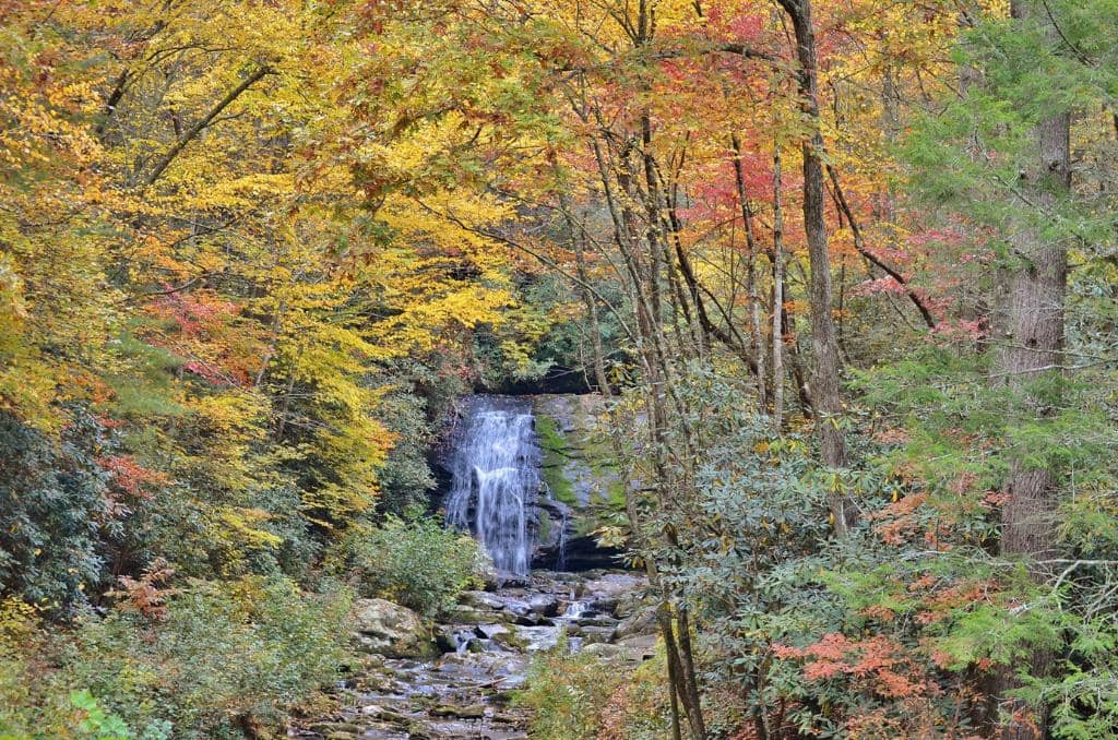 Roadside View of Meigs Falls