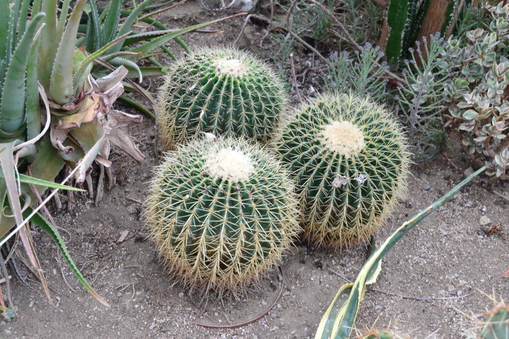 Botanical Gardens & Pond