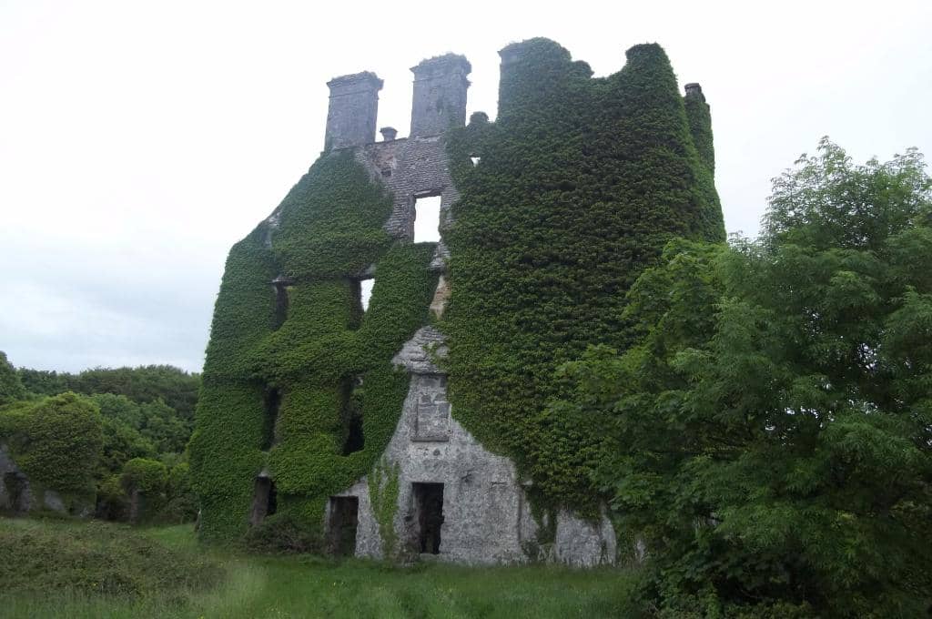 Ivy-Covered Ruins