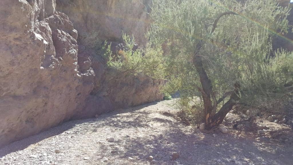 Colorado River Access