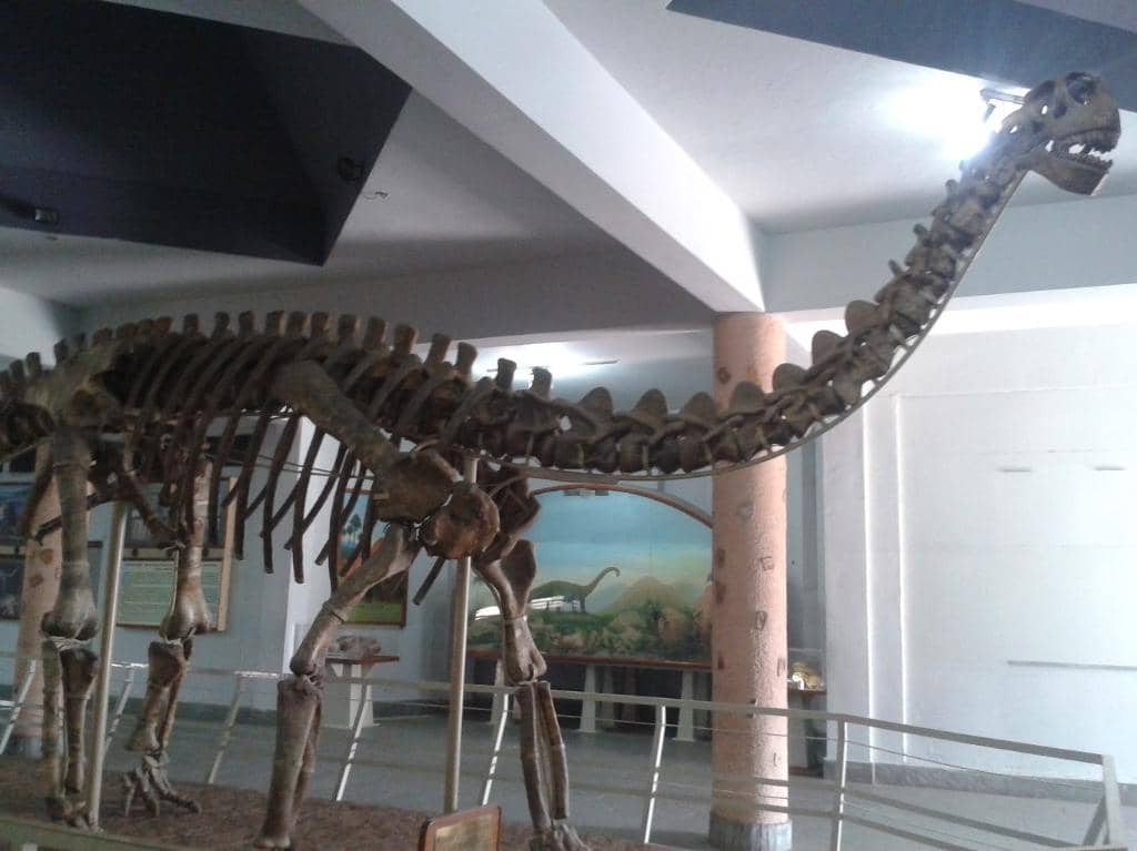 ISRO and Space Science Displays