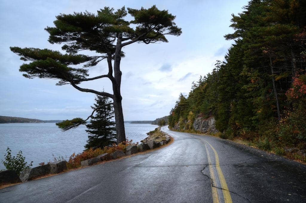 Sargent Drive Scenic Route