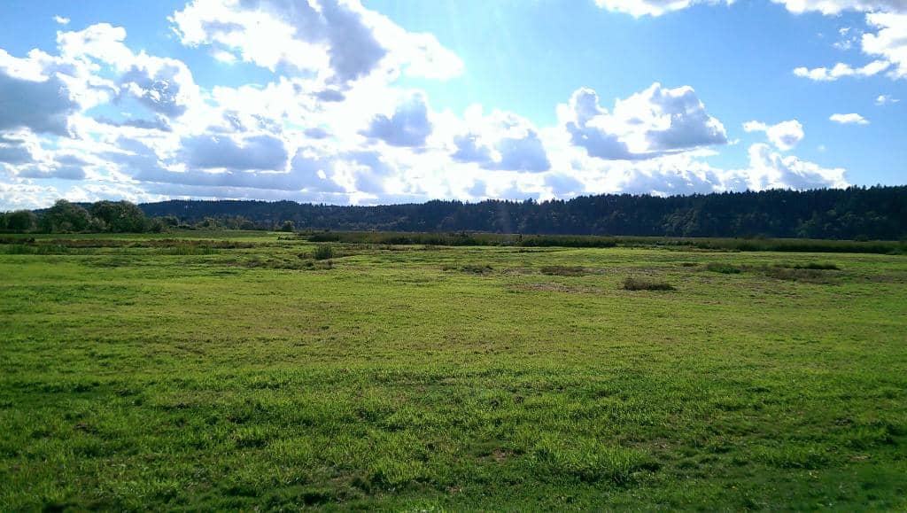 Nisqually River Delta