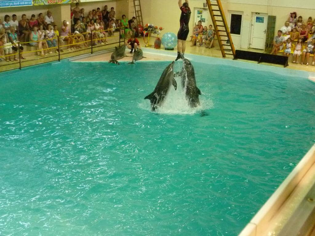 Interactive Activities