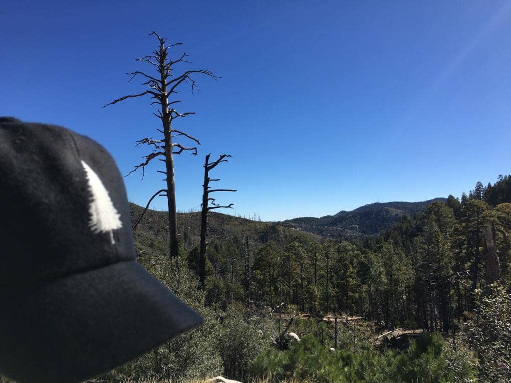 Marshall Gulch Creek