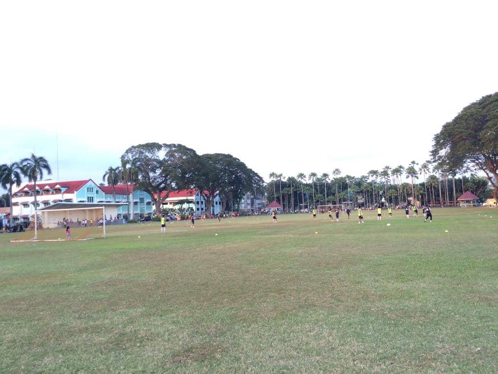 Lush Green Spaces