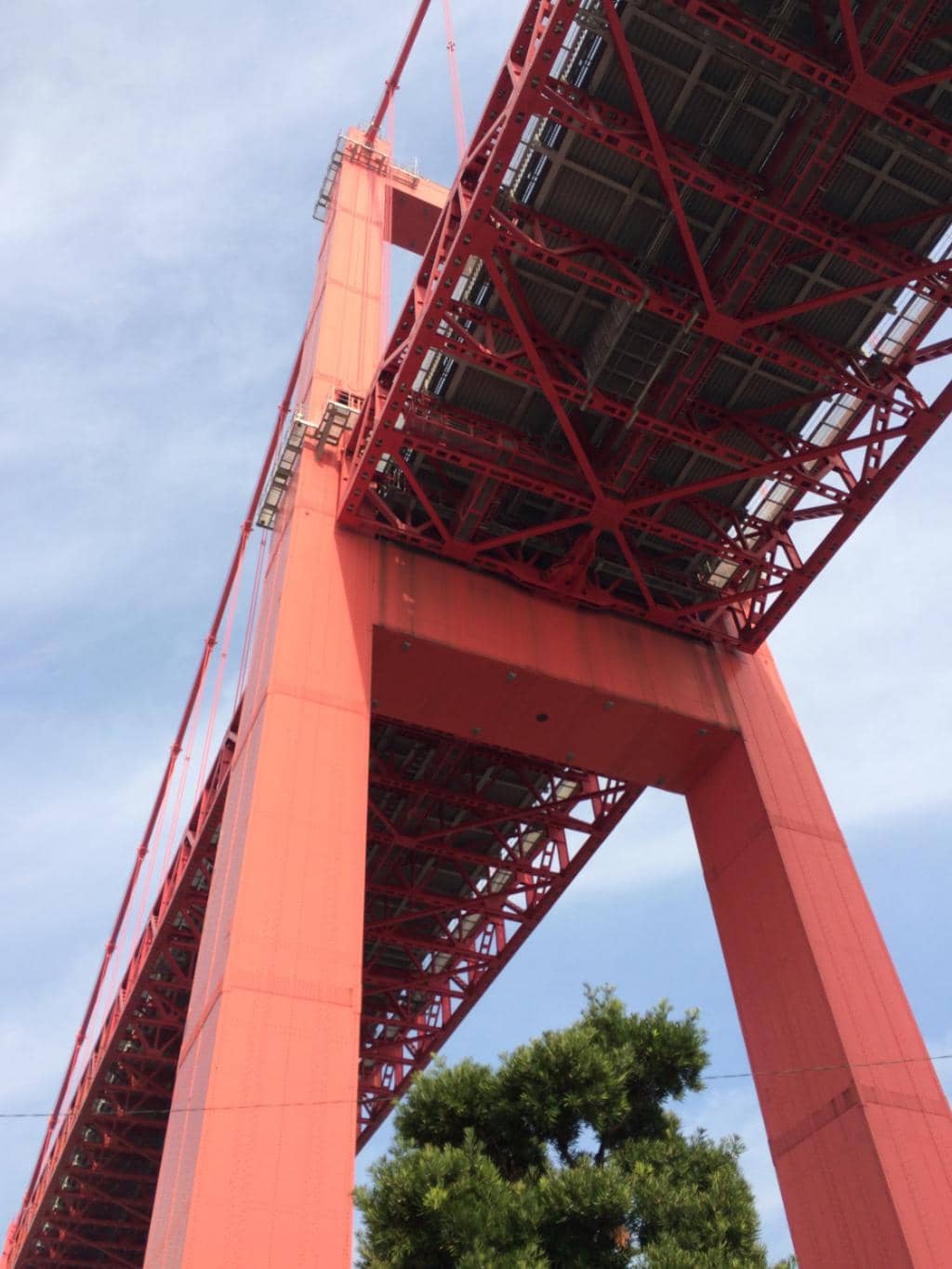 Vertical photo