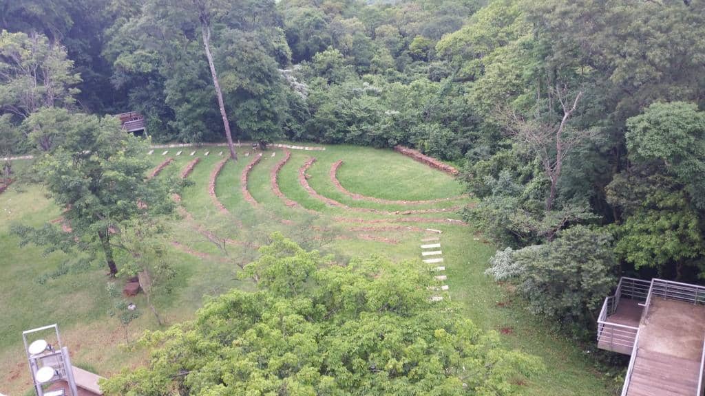 Native Jungle Trails