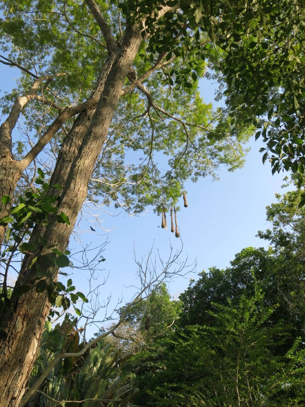 Peaceful, Natural Trails