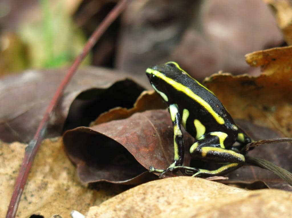 Abundant Wildlife Sightings