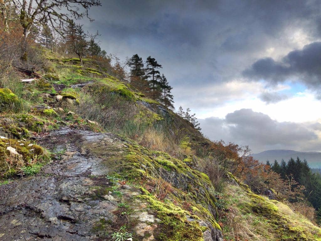 Trestle Bridge Views