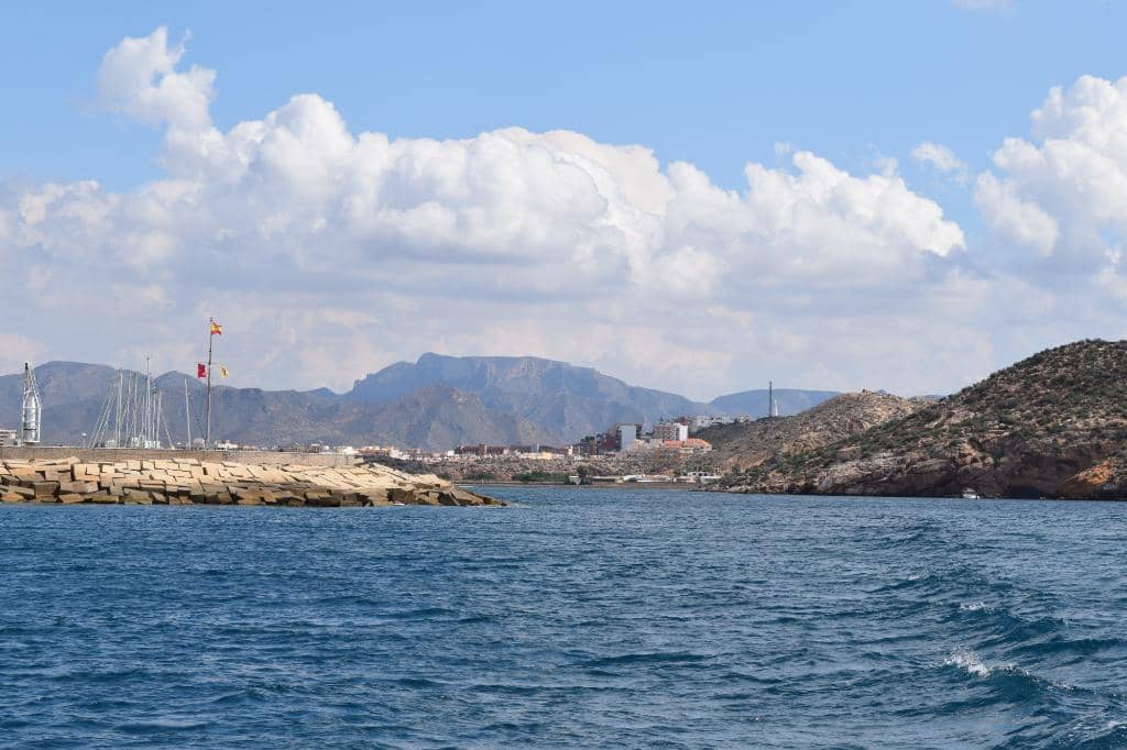 Vibrant Underwater Life