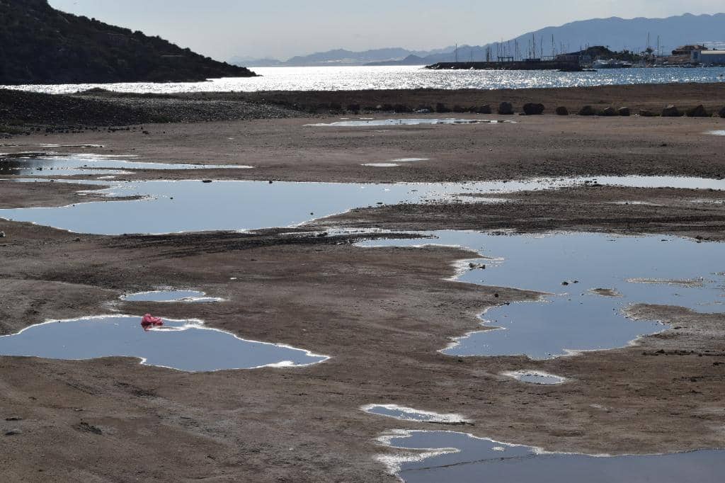 Diverse Beach Terrain