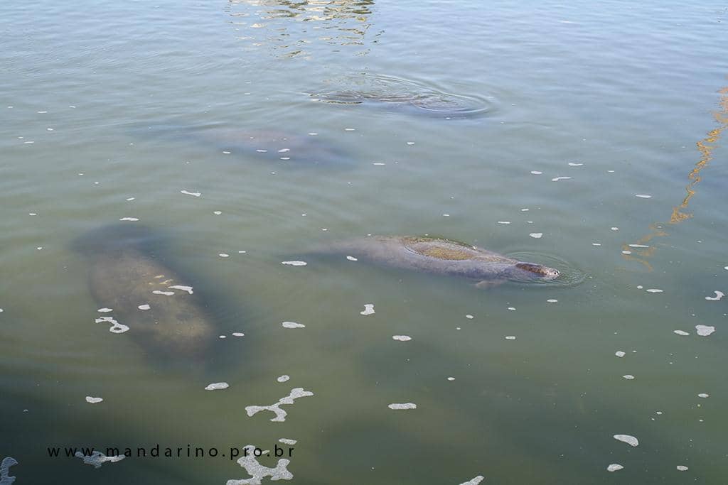 Playground & Picnic Areas