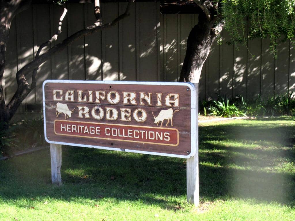 Concerts & Live Music