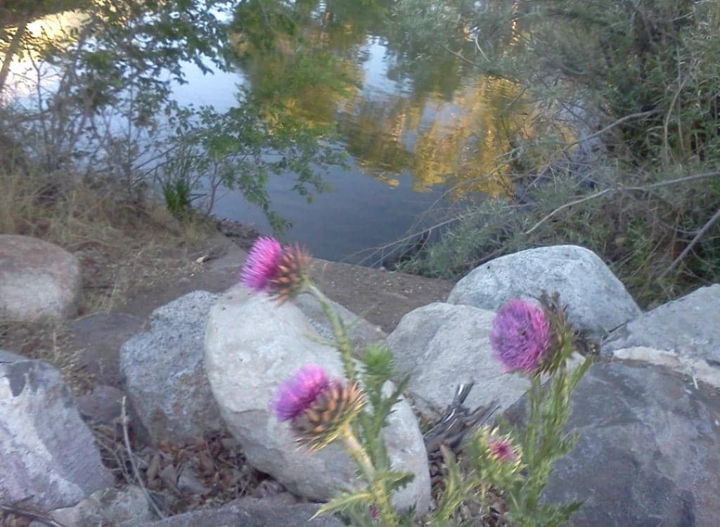Vertical photo