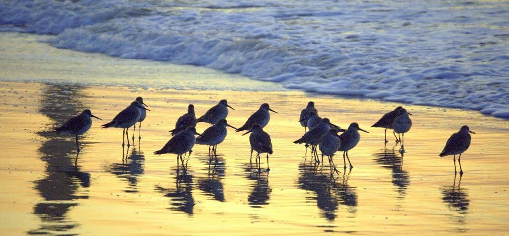 Affordable Beach Amenities