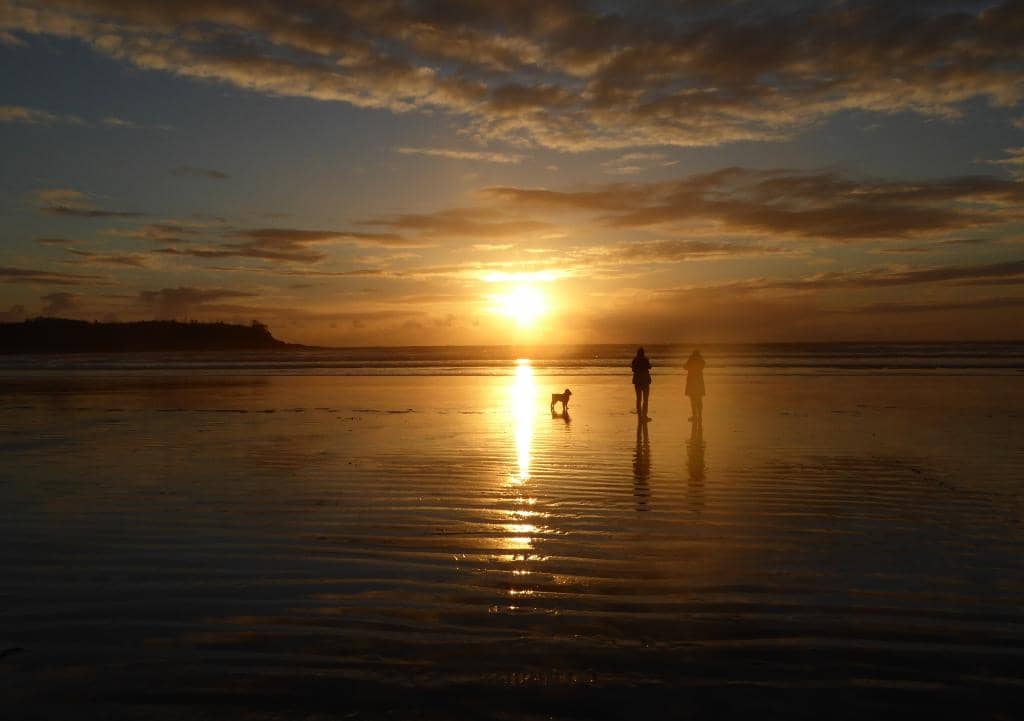 Cox Bay Lookout