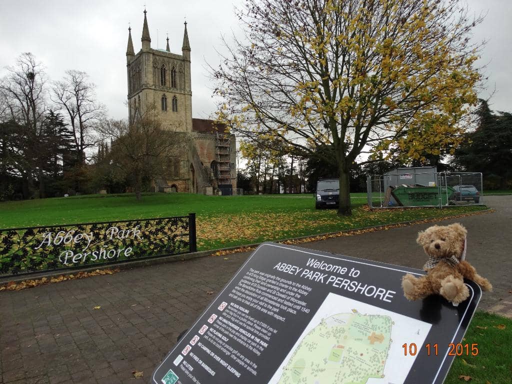 Peregrine Falcon Webcam