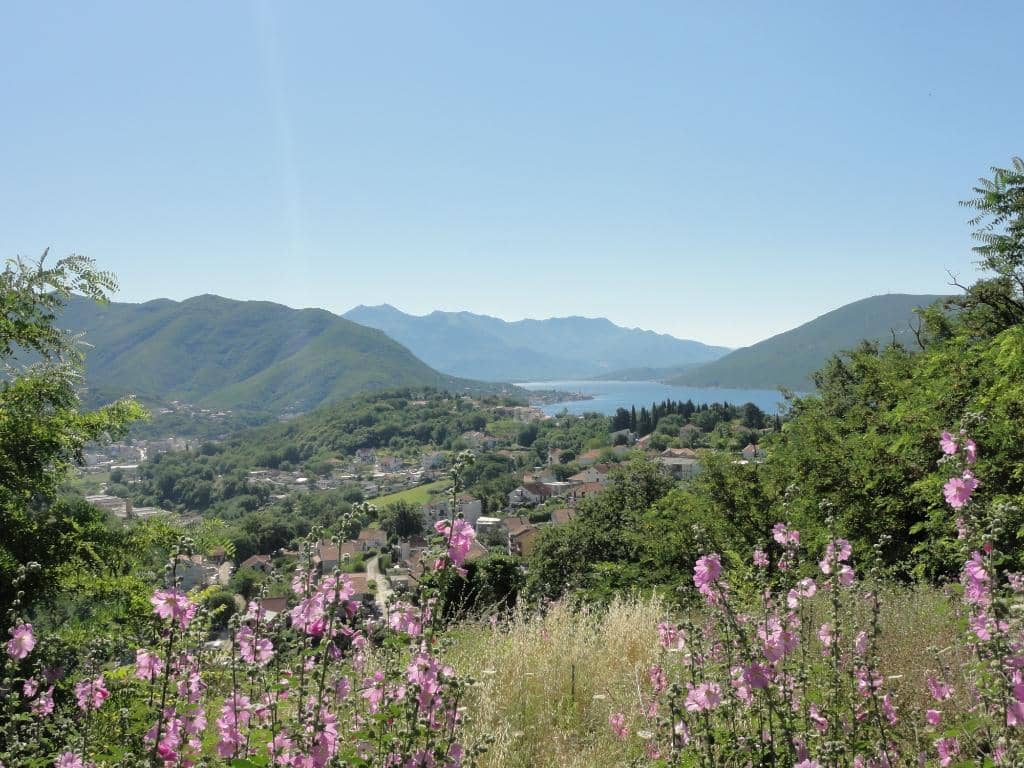 Family-Friendly Trails