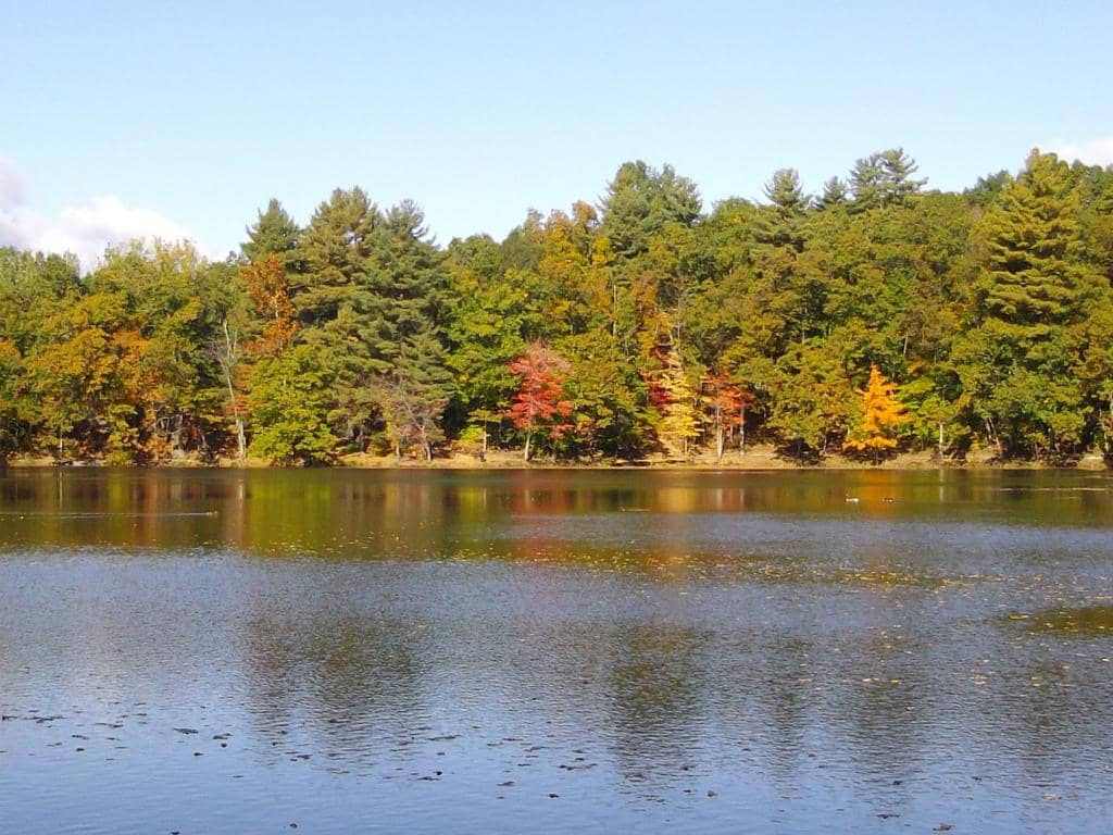 Perimeter Trail
