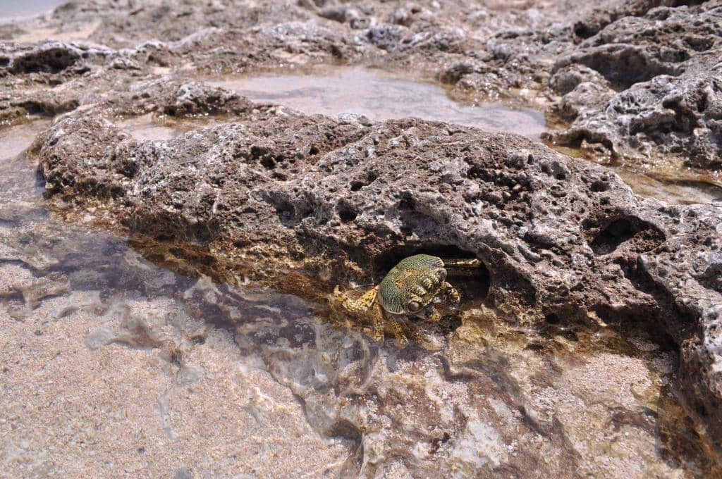 Peaceful Port Atmosphere