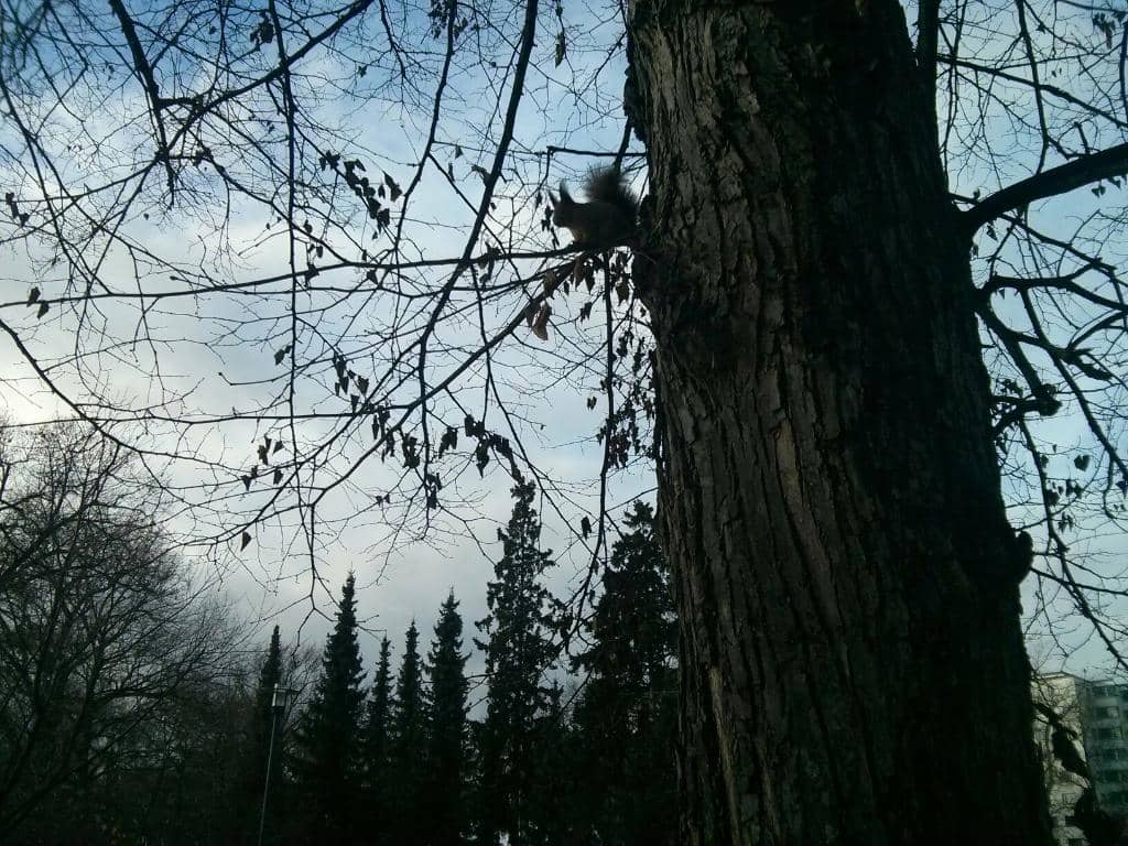 Water Adventure Park