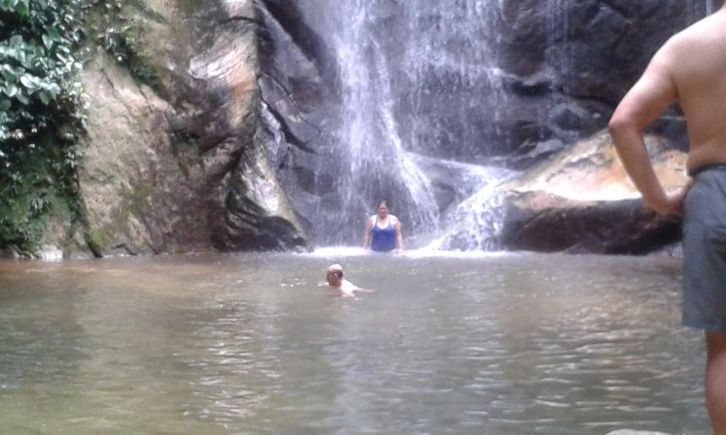 Rainforest Hike