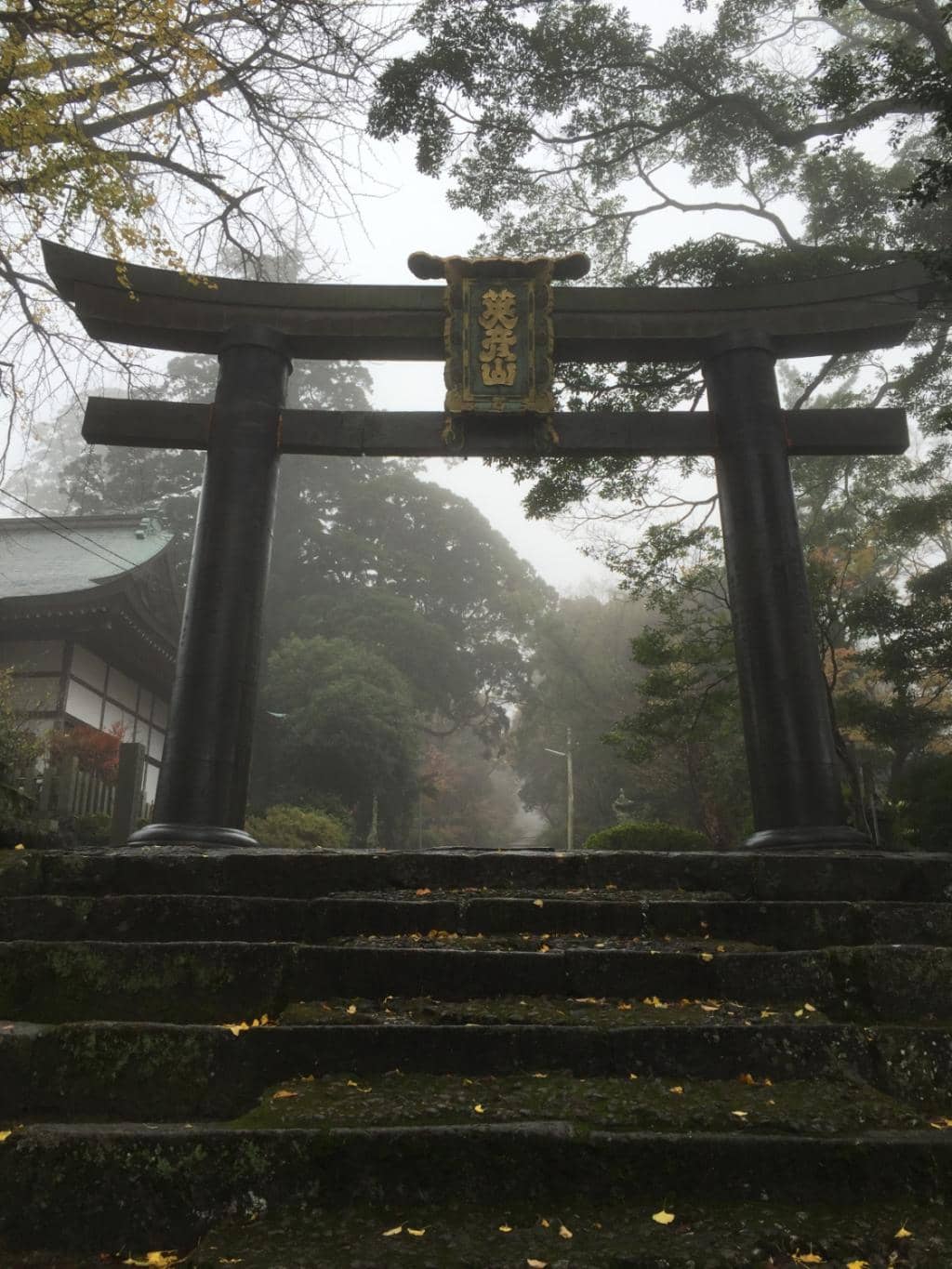 Vertical photo
